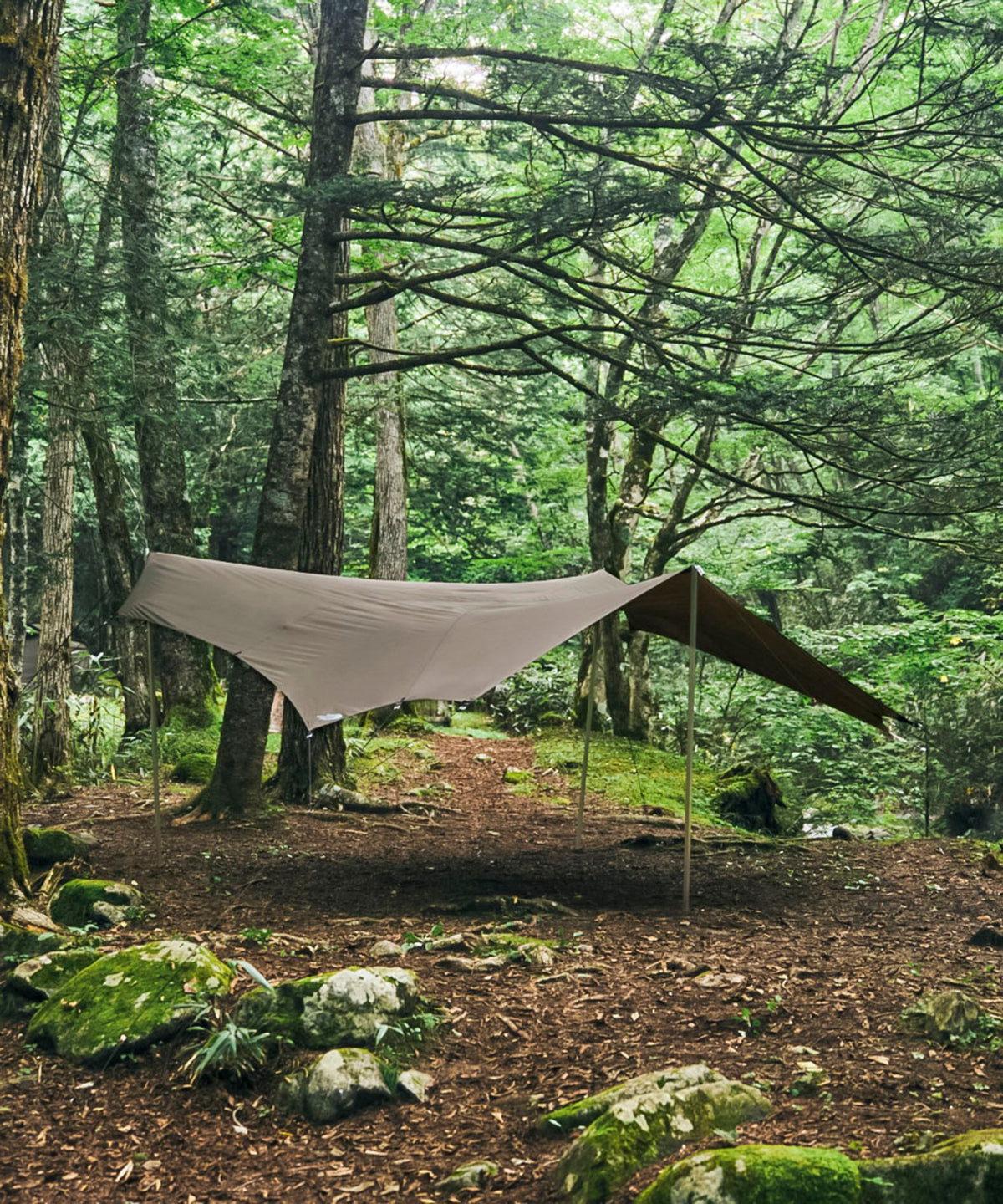 The North face ネブラタープ6 社外ポール3本セット Nebula Tarp 6 | Online Camp Store | THE NORTH FACE CAMP