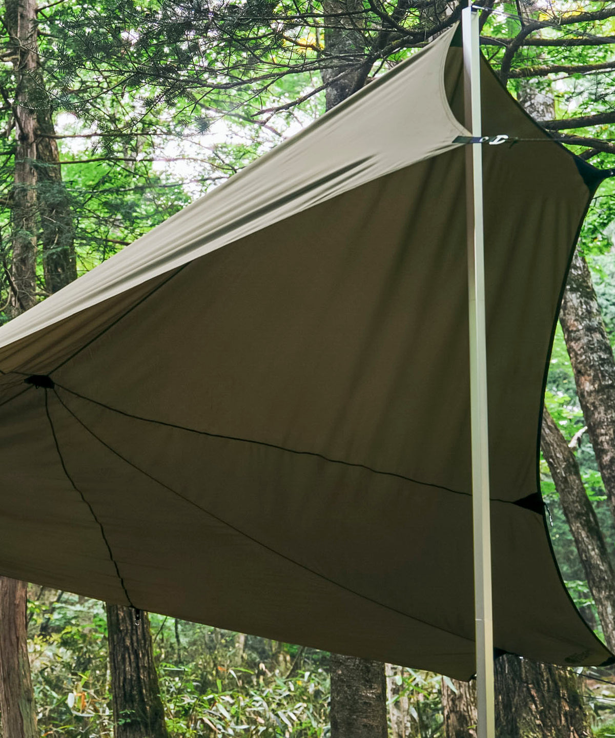 THE NORTH FACE ネブラタープ 6 NV22209
